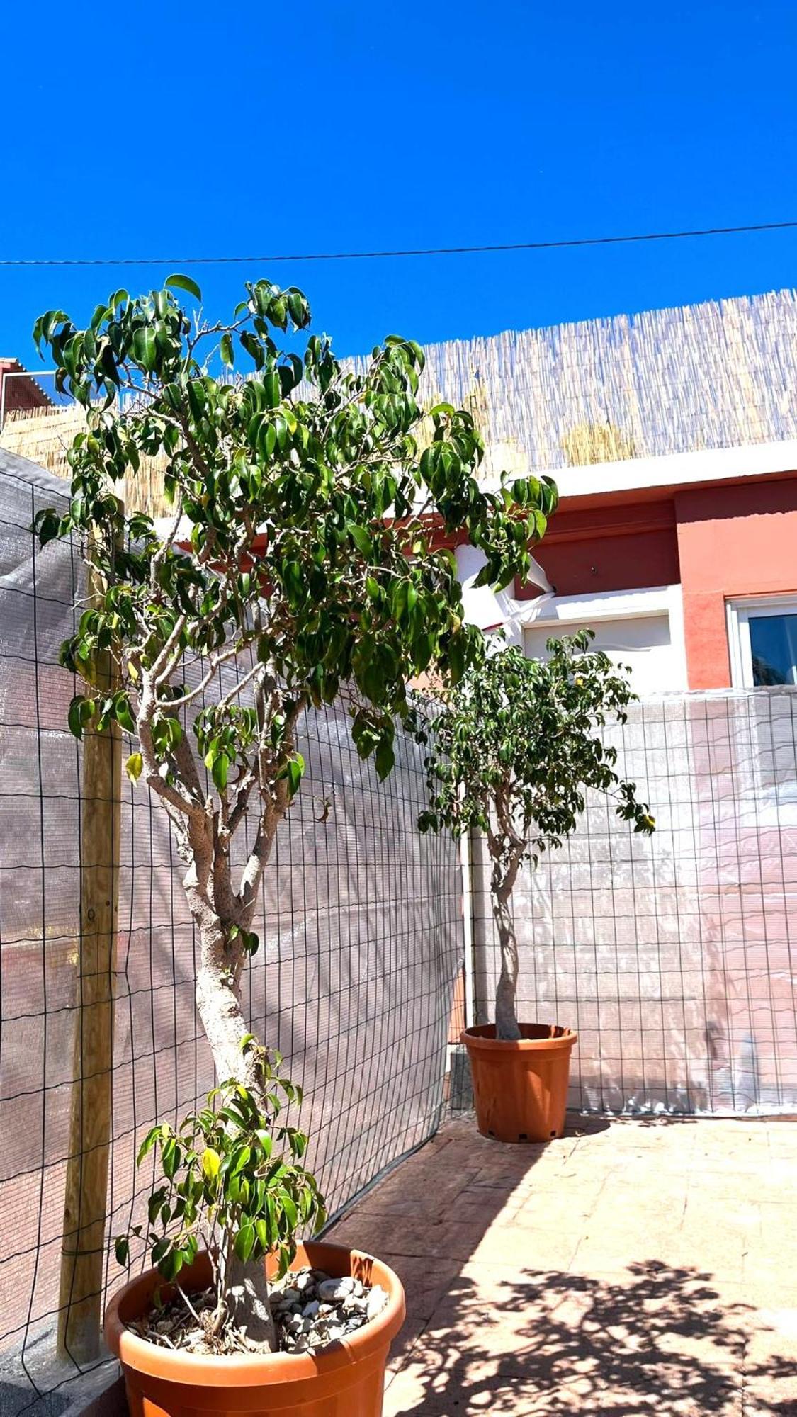 Apartamento Leyda En Marbella Exterior photo